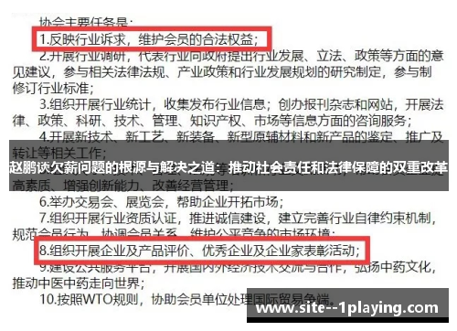赵鹏谈欠薪问题的根源与解决之道：推动社会责任和法律保障的双重改革
