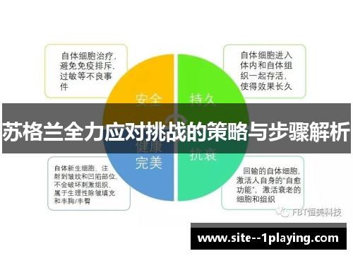 苏格兰全力应对挑战的策略与步骤解析