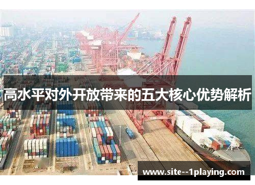 高水平对外开放带来的五大核心优势解析 高水平对外开放带来的五大核心优势解析